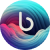 blushiftcreative logo